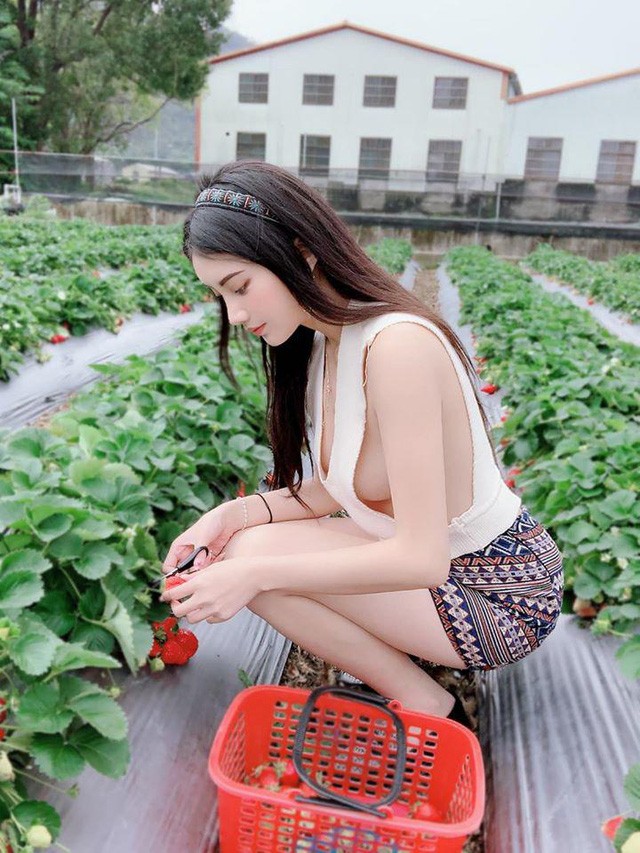 Wearing cool clothes to pick oranges, grow vegetables, many beautiful people are criticized "lost"  - 5