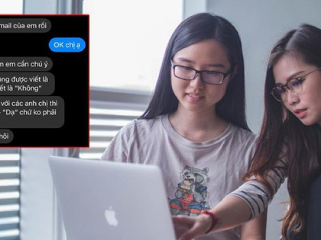 Bạn trẻ - Cuộc sống - "Tấm chiếu mới" công sở viết gì trong email ứng tuyển mà bị nhân sự chỉnh liền?