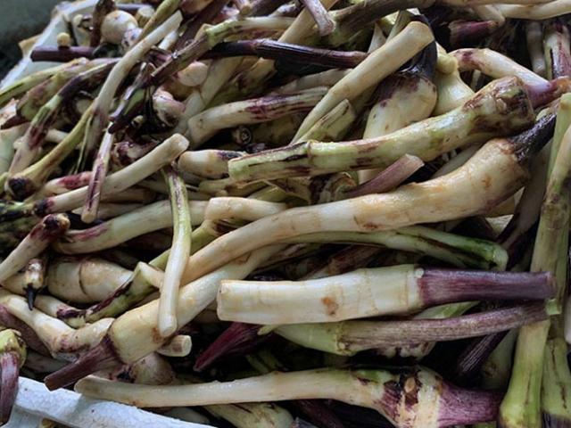 Thị trường - Tiêu dùng - Thứ ăn cứu đói của nhà nghèo ngày xưa bỗng thành đặc sản, ngày bán cả tạ kiếm "bộn tiền"