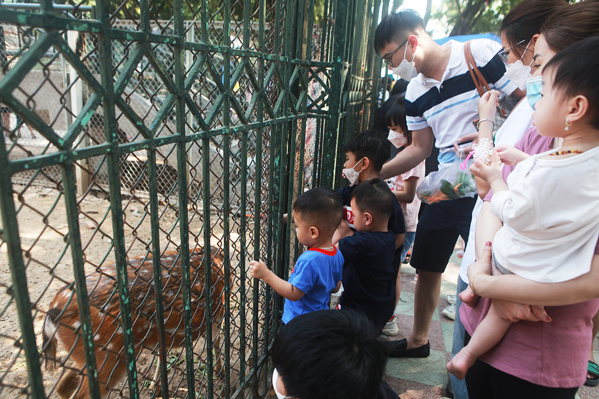“Biển người” chen chân trong Vườn thú Thủ lệ ngày đầu nghỉ lễ - 10