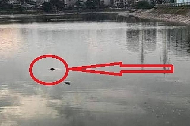 Bi kịch của người đàn ông ngồi tù oan vì ngoại tình: Thi thể nổi trên hồ