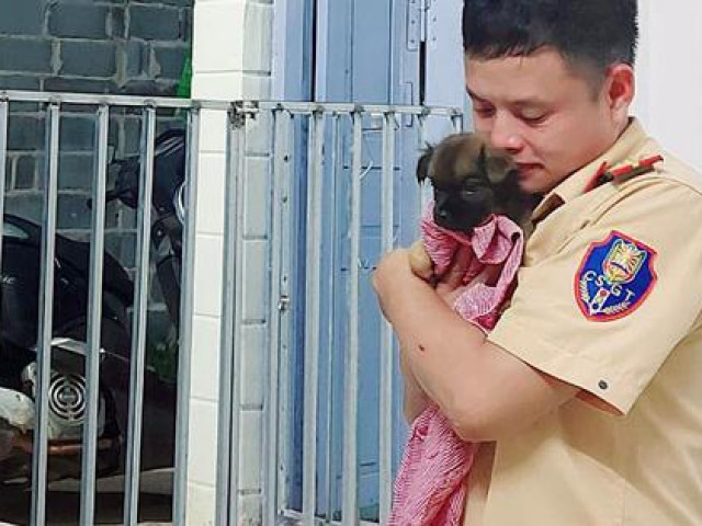 Bạn trẻ - Cuộc sống - Thượng úy CSGT đi bốc vác, phụ hồ thêm để kiếm tiền cứu hộ chó mèo từ lò mổ