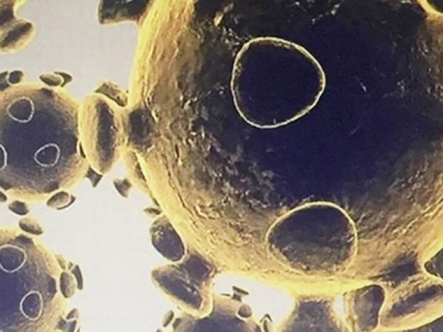 Thế giới - Xuất hiện đột biến COVID mới dễ lây hơn cả “Omicron tàng hình”