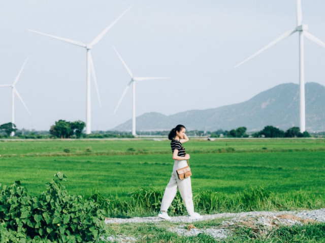 Du lịch - Chơi hè hết 5 cánh đồng điện gió đẹp đỉnh nhất Việt Nam