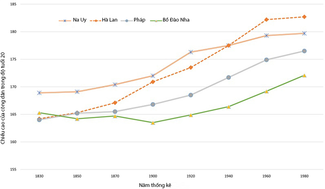 Sự thay đổi chiều cao của người Hà Lan giai đoạn 1830 - 1980