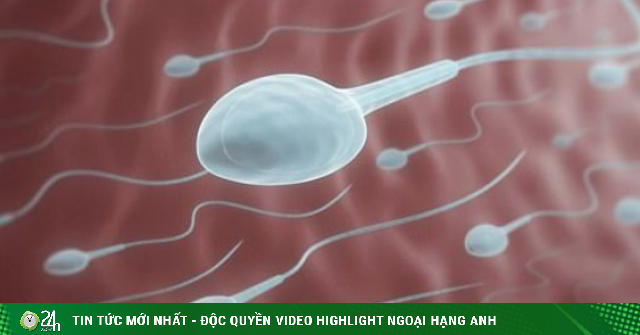 Weak “sperm”, reduced fertility because of post-COVID-19-Life Health