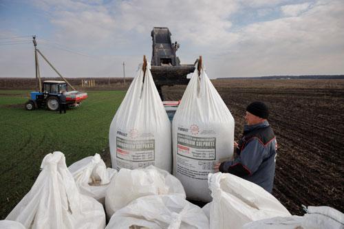 Nông dân làng Yakovlivka, ngoại ô TP Kharkiv, bốc dỡ phân bón hôm 5-4. Họ đang bám trụ để chờ thu hoạch lúa mì Ảnh: REUTERS