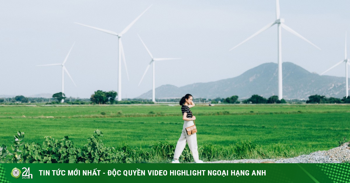 Play all the 5 most beautiful wind power fields in Vietnam in the summer-Travel