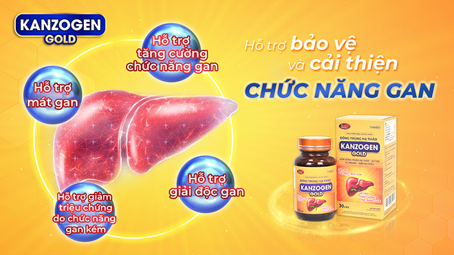 Cơ chế tác động toàn diện của Đông trùng hạ thảo Kanzogen Gold lên gan