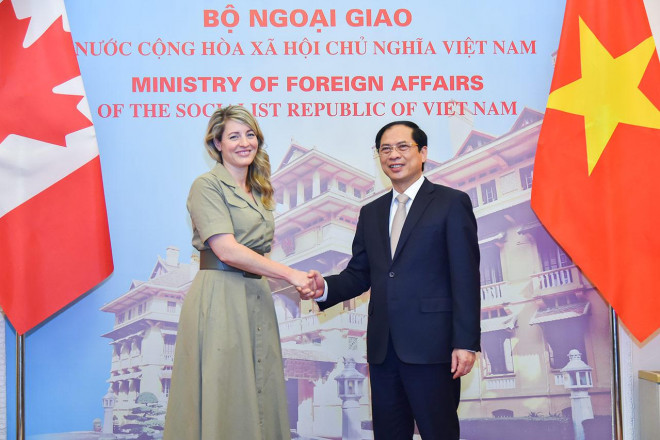Bộ trưởng Bùi Thanh Sơn đề nghị Canada sớm công nhận hộ chiếu vắc-xin của Việt Nam - 2