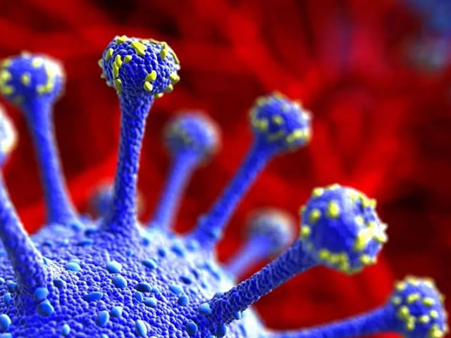 Tin tức trong ngày - Bộ Y tế: Việt Nam chưa ghi nhận ca nhiễm biến thể phụ mới của Omicron