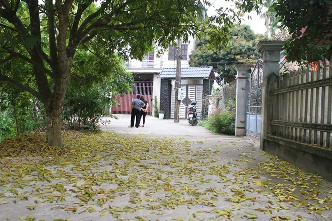 Khu vực ngõ nơi chị M. bị Hà sát hại, sau đó vứt con dao gây án và bị mắc trên cành cây.