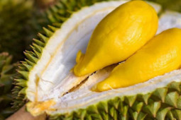 Ẩm thực - 7 thực phẩm không nên ăn cùng sầu riêng