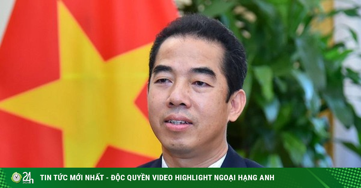 The Ministry of Public Security arrested Deputy Minister of Foreign Affairs To Anh Dung