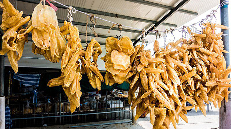 Khoảng 4-5 kg bong bóng tươi mới làm ra được 1kg bong bóng khô
