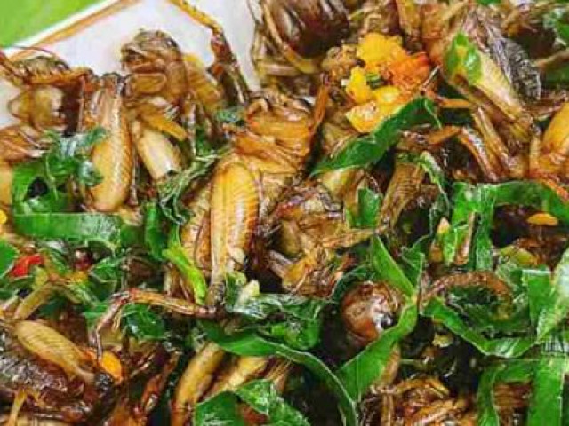 Ẩm thực - Món côn trùng giòn rụm, đắt lạ, khách "yếu tim" không dám động đũa ở Đồng Nai