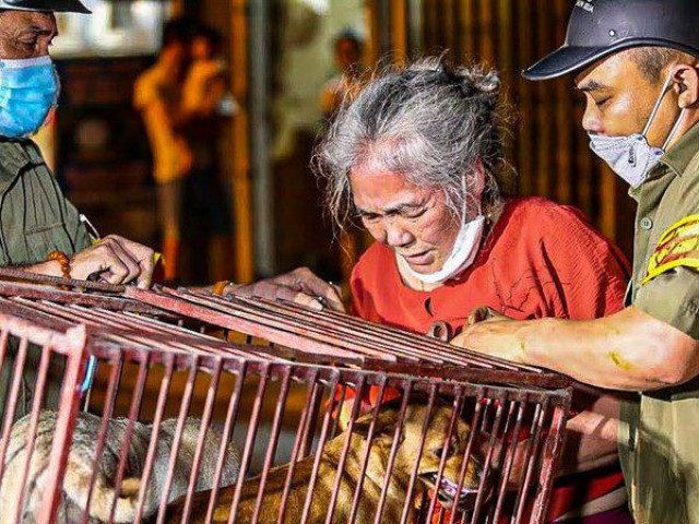 Tin tức trong ngày - Hà Nội: Thả chó ra đường, chủ nhân ngậm ngùi nộp phạt 1,5 triệu đồng