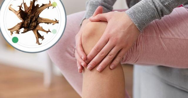 New generation osteoarthritis pain relief formula, safe and highly effective