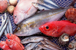 Ẩm thực - Mẹo chọn hải sản tươi ngon chỉ những người đảm đang mới biết