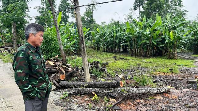 Lô "đất làng" này ở vị trí heo hút, xa trung tâm TP Huế và thị xã Hương Trà nhưng ghi mức bán đấu giá theo quyết định của UBND tỉnh lên đến 45 triệu đồng/m2 gây sốc cho nhiều người dân và giới kinh doanh bất động sản