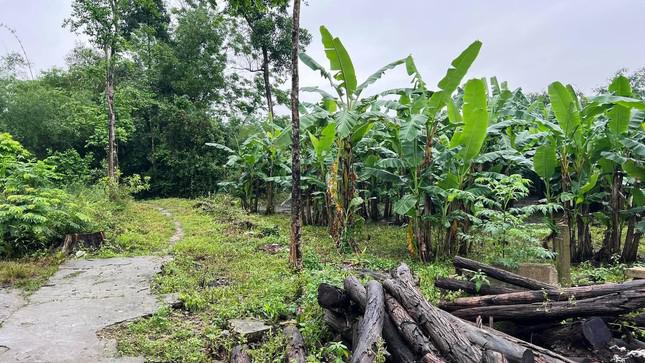 Huế đính chính thông tin lô 'đất làng' giá khởi điểm 45 triệu đồng/m2 gây choáng - 2