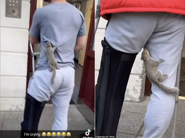 Bạn trẻ - Cuộc sống - Clip: Chú sóc hồn nhiên bám chặt vào người đàn ông