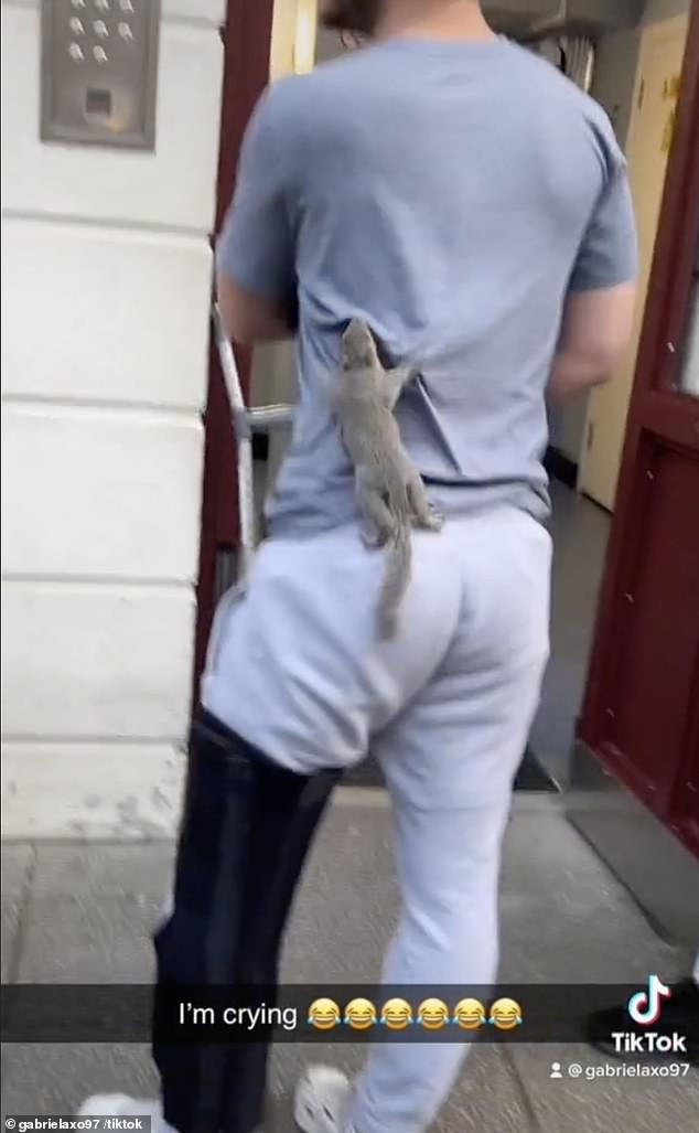 Gabriela đã chia sẻ video lên TikTok về cảnh một con sóc đang trèo lên cơ thể bạn mình và đạt được hơn 380.000 lượt thích