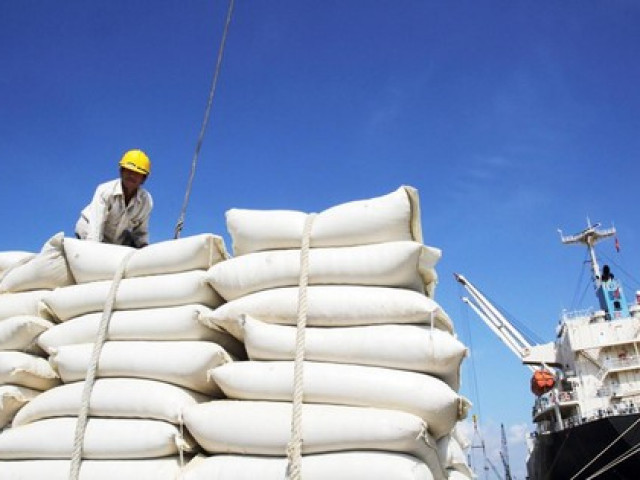 Thị trường - Tiêu dùng - Giá gạo xuất khẩu Việt Nam vượt xa Thái Lan