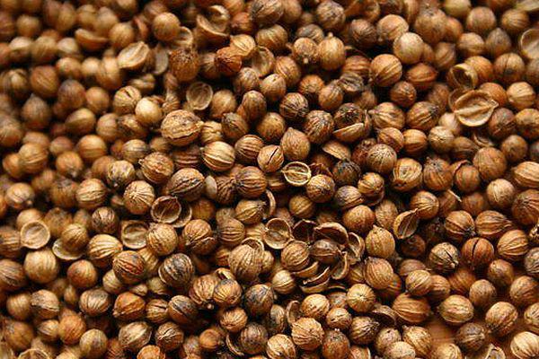 Coriander is not only a spice but also an herbal remedy for measles, less milk - 3