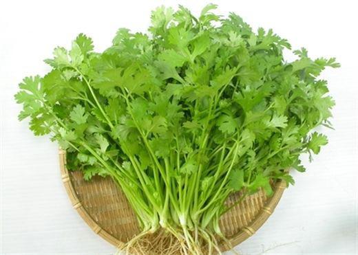 Coriander is not only a spice but also an herbal remedy for measles, less milk - 2