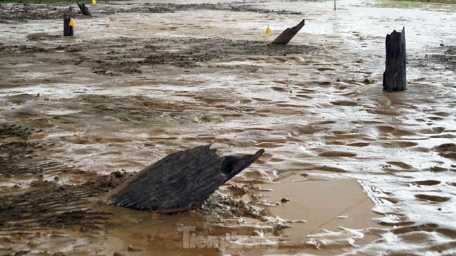 Qua đó, các nhà khoa học phát hiện 27 cọc gỗ thuộc trận chiến Bạch Đằng lần 3 - năm 1288. Đây là trận địa ngăn chặn quân Mông - Nguyên tại khu vực sông Giá và khu vực chỉ huy của Hưng Đạo Đại Vương Trần Quốc Tuấn. Năm 2020, TP Hải Phòng đầu tư 362 tỷ đồng xây dựng đường dẫn và Khu bảo tồn bãi cọc Cao Quỳ nhằm lưu giữ, giới thiệu những chứng tích lịch sử.