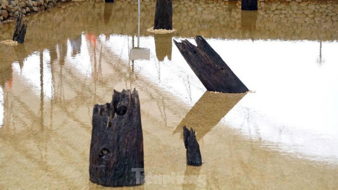 Cách Khu di tích Bạch Đằng Giang không xa, Khu bảo tồn bãi cọc Cao Quỳ có diện tích hơn 30.600m2, thuộc xã Liên Khê (huyện Thủy Nguyên). Bãi cọc Cao Quỳ được Viện Khảo cổ học phối hợp với Sở Văn hóa, Bảo tàng Hải Phòng khai quật cuối năm 2019.