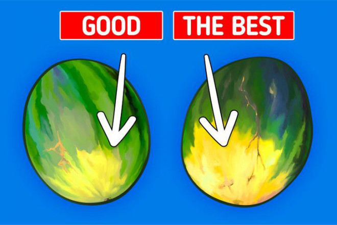 Just look at the following 6 photos and know how to choose a delicious, sweet and clean standard watermelon - 1