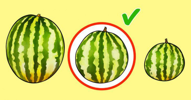 Just look at the following 6 photos and know immediately how to choose a delicious, sweet and clean watermelon - 5