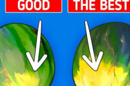 Ẩm thực - Chỉ nhìn 6 ảnh sau biết ngay cách chọn dưa hấu chuẩn ngon, ngọt và sạch