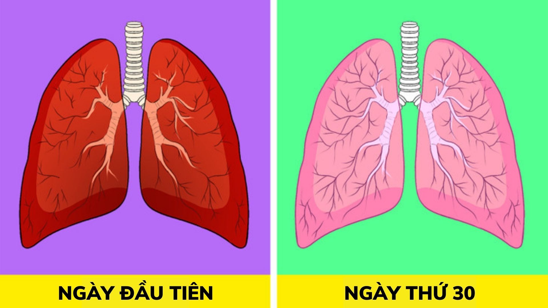 8 cách thải độc phổi tự nhiên, F0 khỏi bệnh cũng nên áp dụng - 1