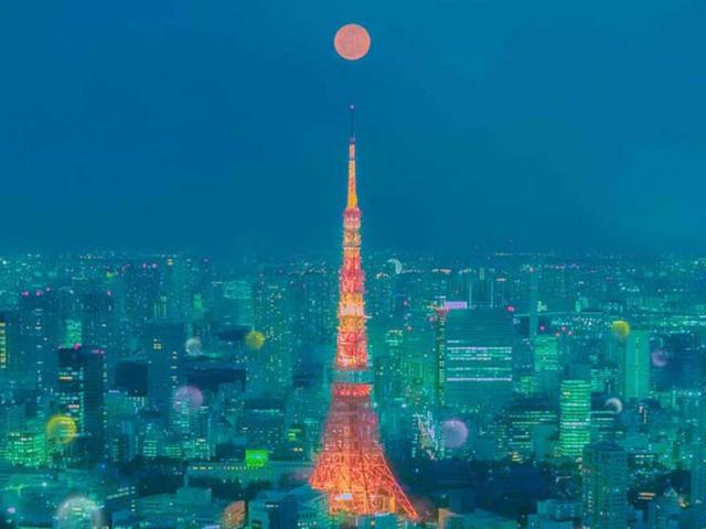 Du lịch - Những bức ảnh siêu thực đẹp nhất về Tokyo vào ban đêm của nhiếp ảnh gia người Ý