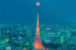 Du lịch - Những bức ảnh siêu thực đẹp nhất về Tokyo vào ban đêm
