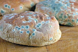 Sức khỏe đời sống - Tránh xa những tác nhân này, ung thư sẽ không bao giờ “bén mảng” đến bạn