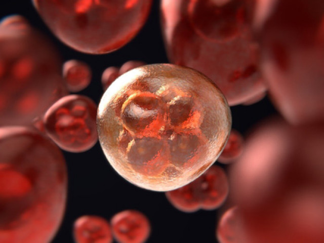 Sức khỏe đời sống - "Chốt chặn" SARS-CoV-2 quan trọng cũng là chìa khóa trị ung thư