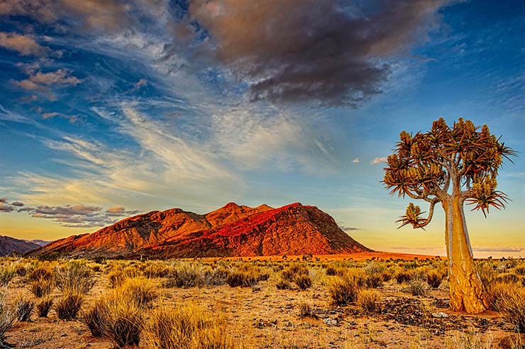 10. Sa mạc Kalahari, Nam Phi

Trải dài trên Botswana - một phần của Namibia và Nam Phi, Kalahari là sa mạc lớn nhất miền nam châu Phi. Các loài thực vật chủ yếu ở đây là xương rồng Hoodia và cây camelthorn (một loại cây keo là nguồn cung cấp thức ăn và bóng mát cho động vật hoang dã).
