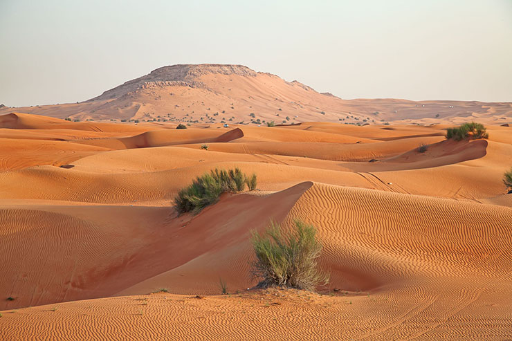 13. Sa mạc Ả Rập, Ả Rập

Các cồn cát sa mạc Ả Rập trải dài trên hầu hết bán đảo Ả Rập, để sống được trong môi trường này đòi hỏi động thực vật phải có tính thích nghi cao. Các cây bụi Ghada mọc trên cồn cát sẽ cung cấp bóng bát cho động vật trú ngụ.
