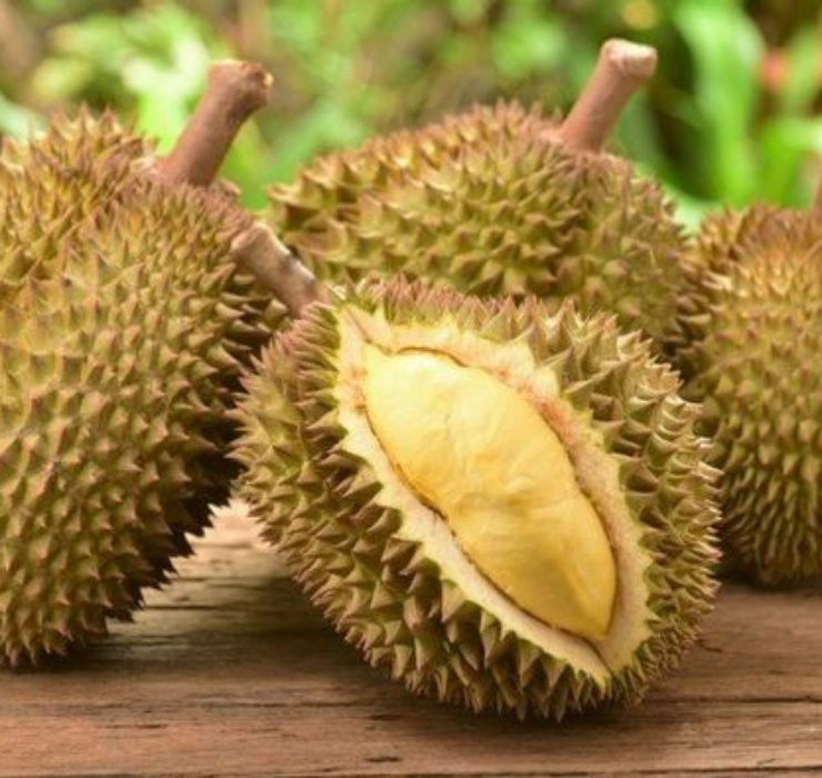 Nằm ở đầu danh sách là “siêu thực phẩm” đến từ Thái Lan - sầu riêng Kanyao. Đây là một trong những loại trái cây đắt đỏ và được giới nhà giàu “săn lùng” nhiều nhất trên thế giới.
