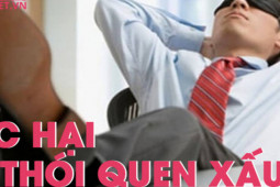 Sức khỏe đời sống - Ngủ ngay sau ăn trưa, thói quen xấu tới 90% dân văn phòng mắc phải, đem đến nhiều tác hại cho sức khỏe