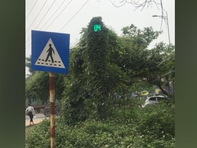 Xe máy - Xe đạp - Clip: Chiếc đèn giao thông mang phong cách lính "bắn tỉa"