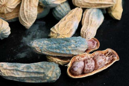 Sức khỏe đời sống - Không phải bột ngọt, 2 thứ này mới chính là nguyên nhân gây bệnh ung thư