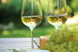 Sức khỏe đời sống - Những người tuyệt đối không nên uống rượu vang