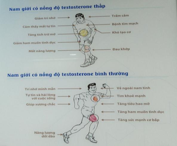 Các triệu chứng để so sánh người thiếu testosterone. Ảnh minh hoạ