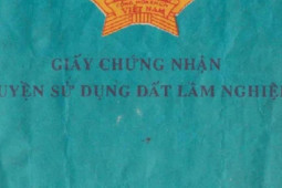 Kinh doanh - Phân biệt sổ đỏ, sổ trắng, sổ xanh trong chứng nhận nhà đất