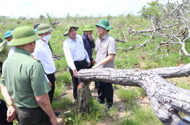 Bí thư Tỉnh ủy và Chủ tịch UBND tỉnh Đắk Lắk tại hiện trường vụ phá rừng
